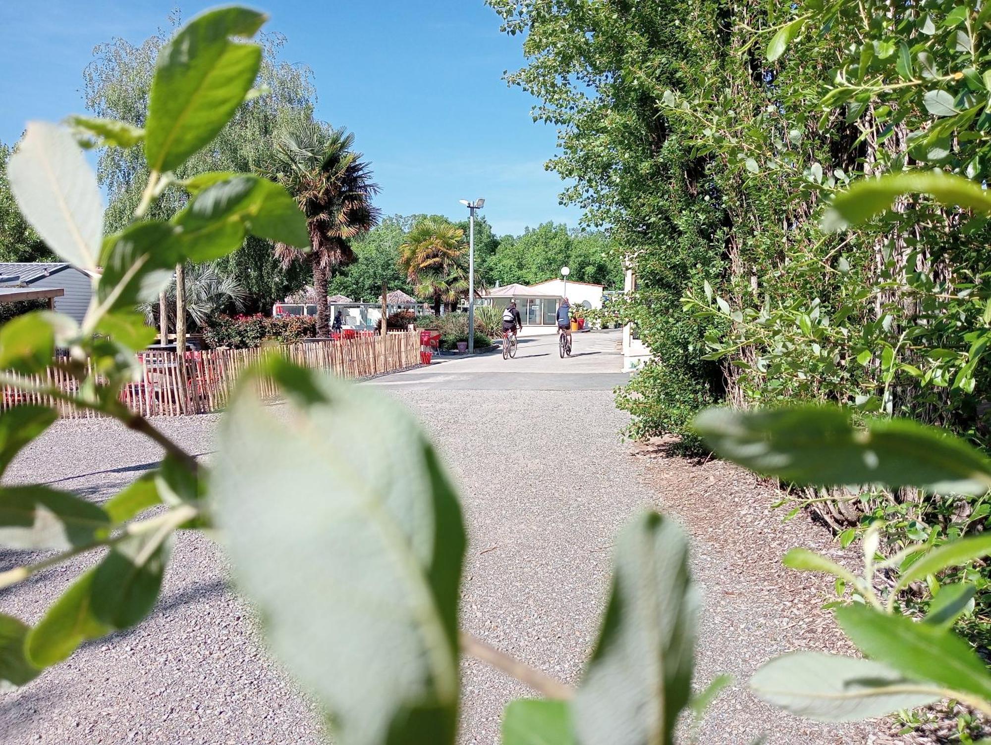 Camping Les Mancellieres Avrillé المظهر الخارجي الصورة